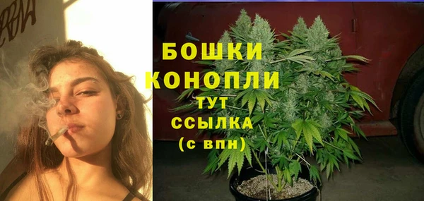 бутират Богданович